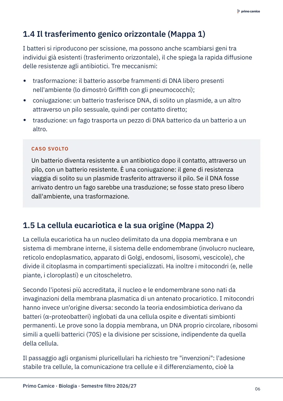 Guida